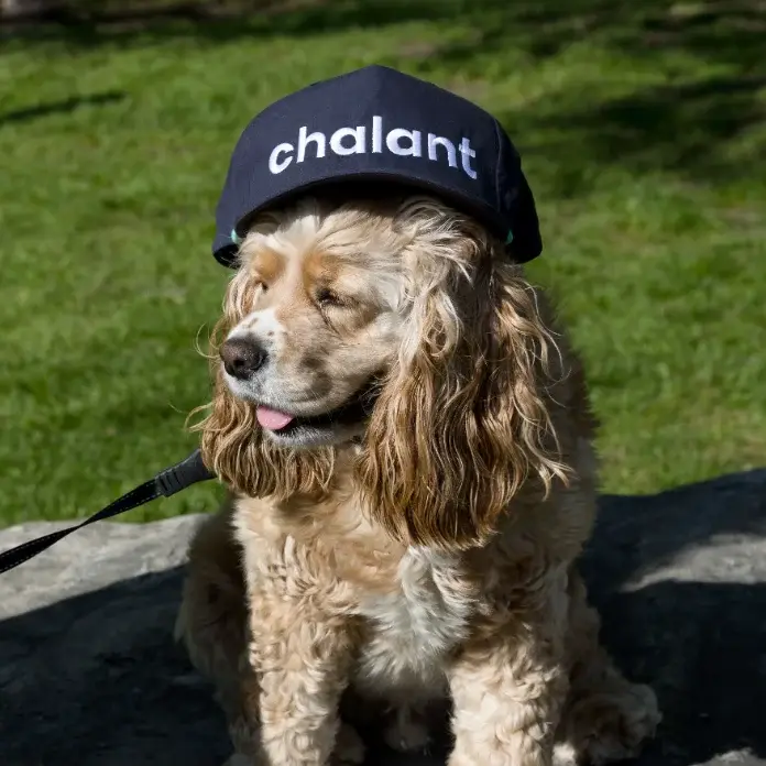 Chalant hat